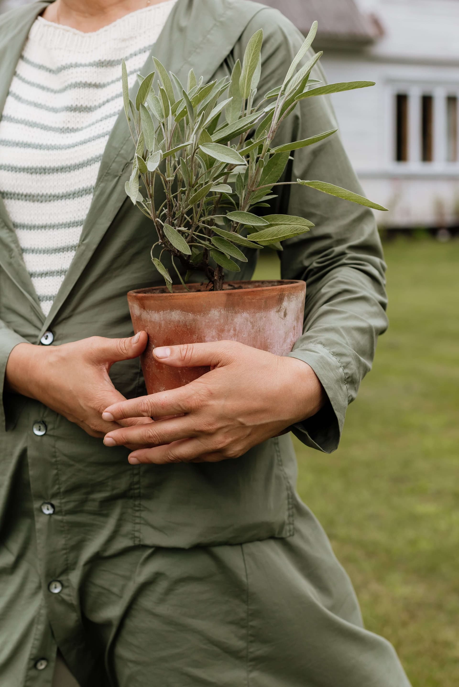 Sustainable forest and natural environment